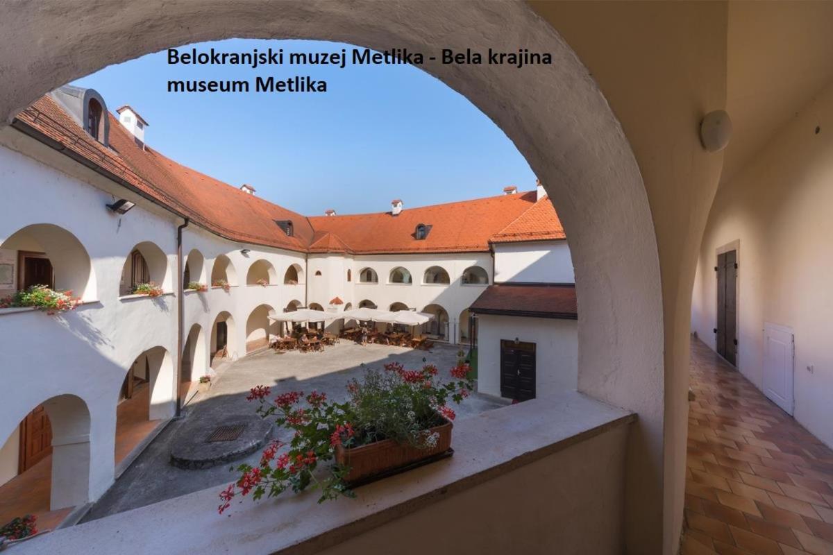 Apartment Ma&Ja With Hot Tub Metlika Exterior photo