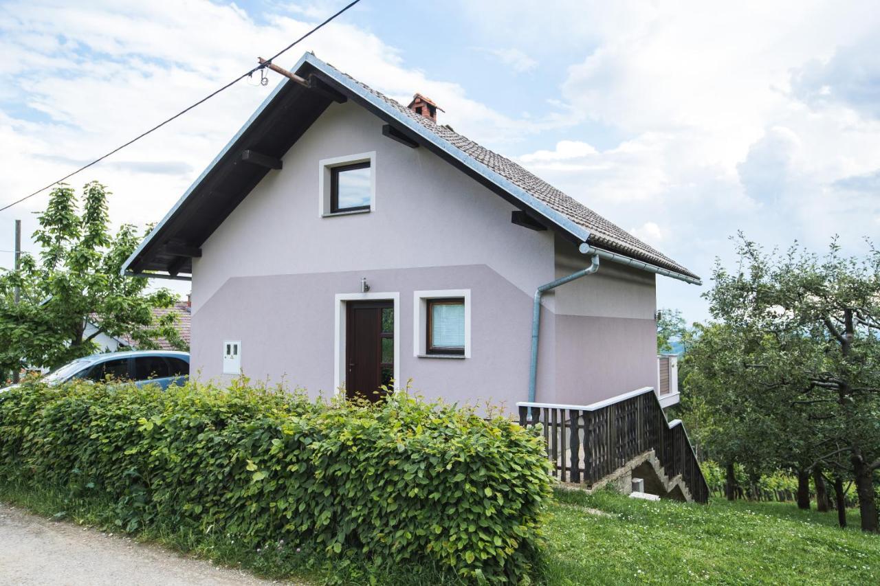 Apartment Ma&Ja With Hot Tub Metlika Exterior photo